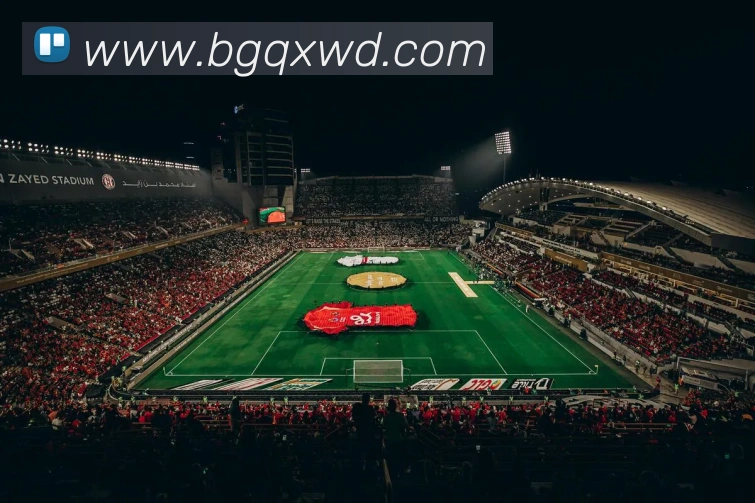 问鼎28平台生态图